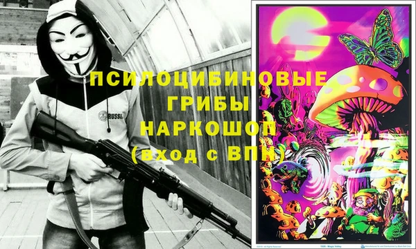 спиды Киреевск