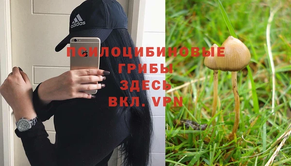 спиды Киреевск