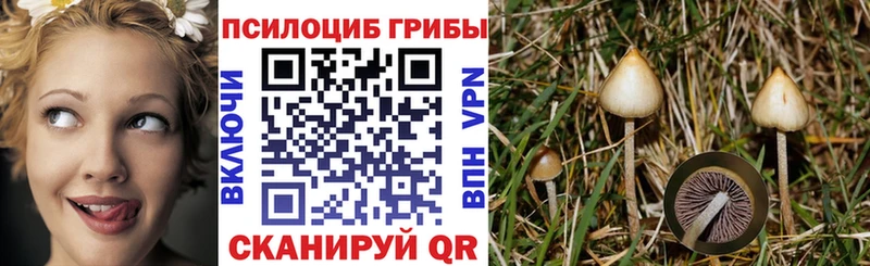 kraken вход  что такое наркотик  Орехово-Зуево  Галлюциногенные грибы GOLDEN TEACHER 